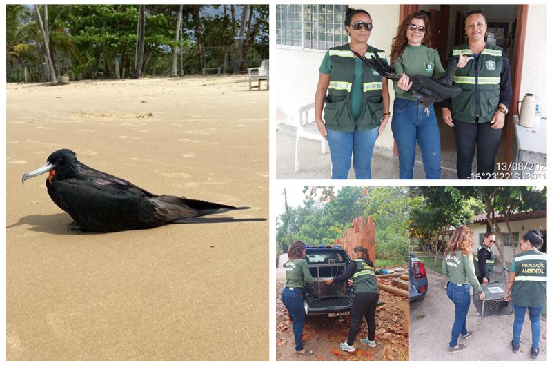 Foto: Skema 1 Publicidade