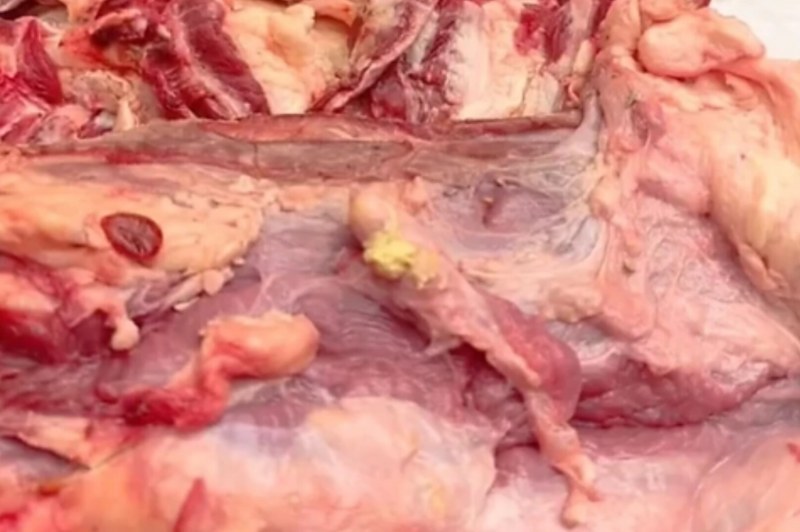 Foto: Internauta Via Whatsapp